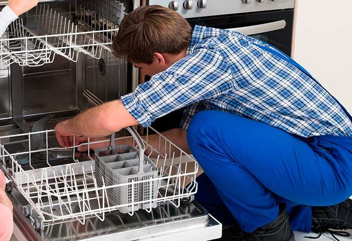 Reparación de lavavajillas en Guadalajara Intelse Servicio Técnico